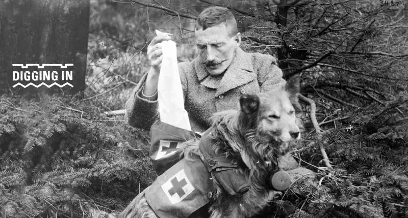 man and dog