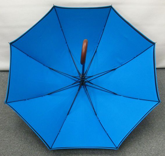 Umbrella - Image 3