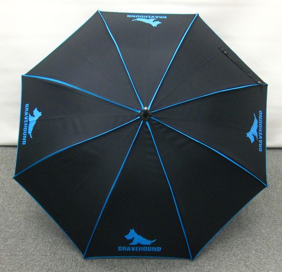 Umbrella - Image 4