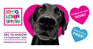 Dog Lover Show