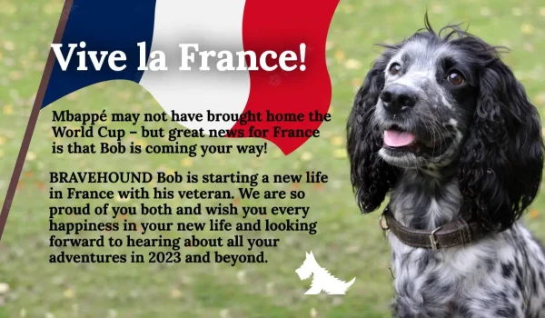 dog in france