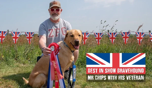 dog show