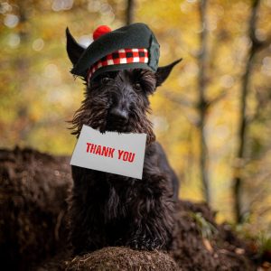thank you card