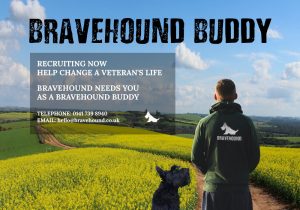 man and dog - bravehound buddy