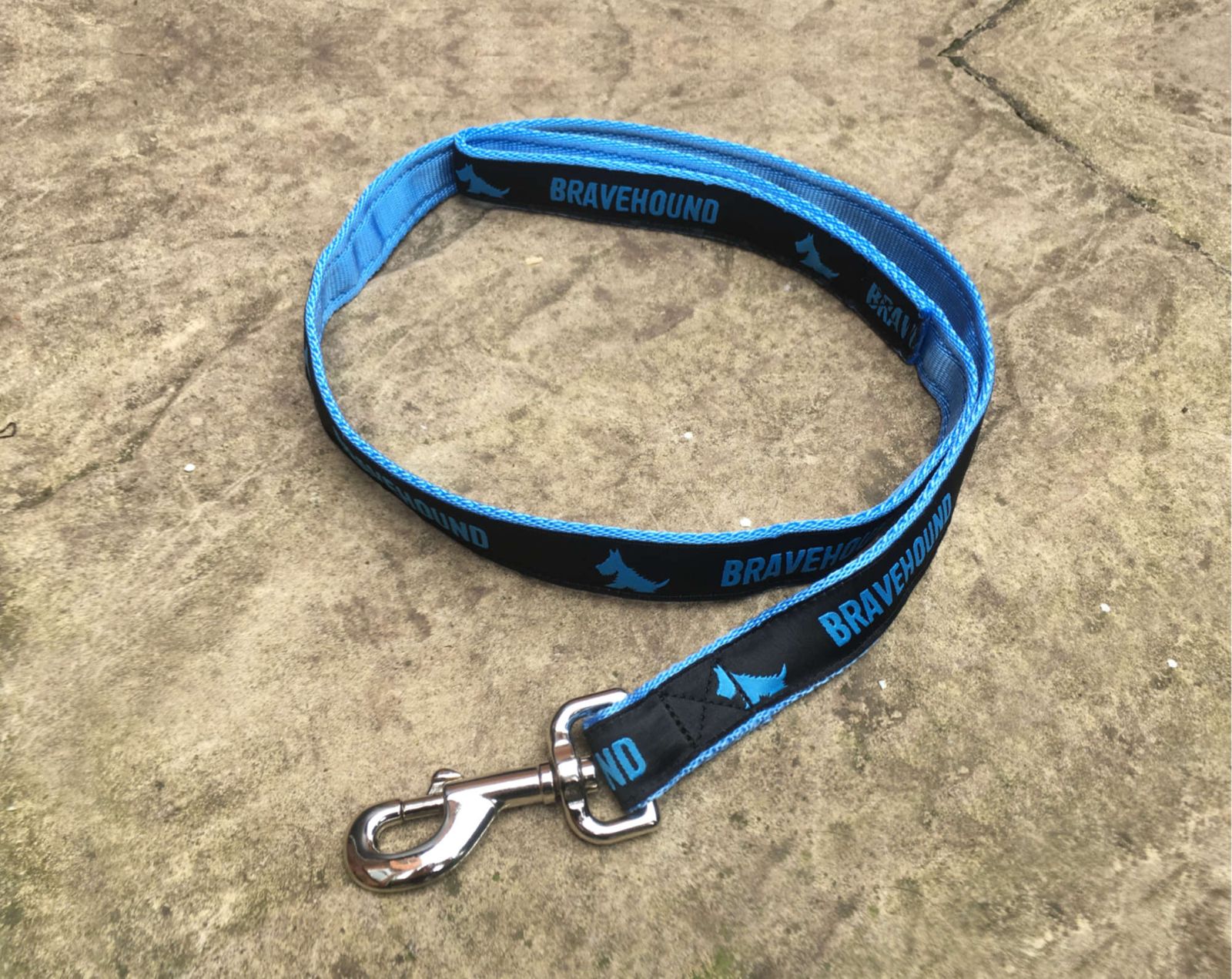 Dog Lead