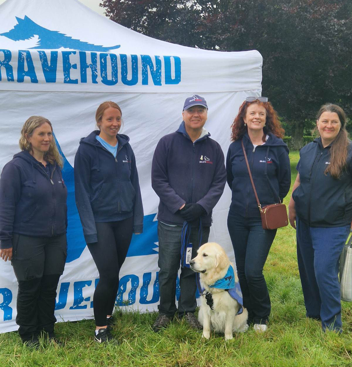 bravehound
