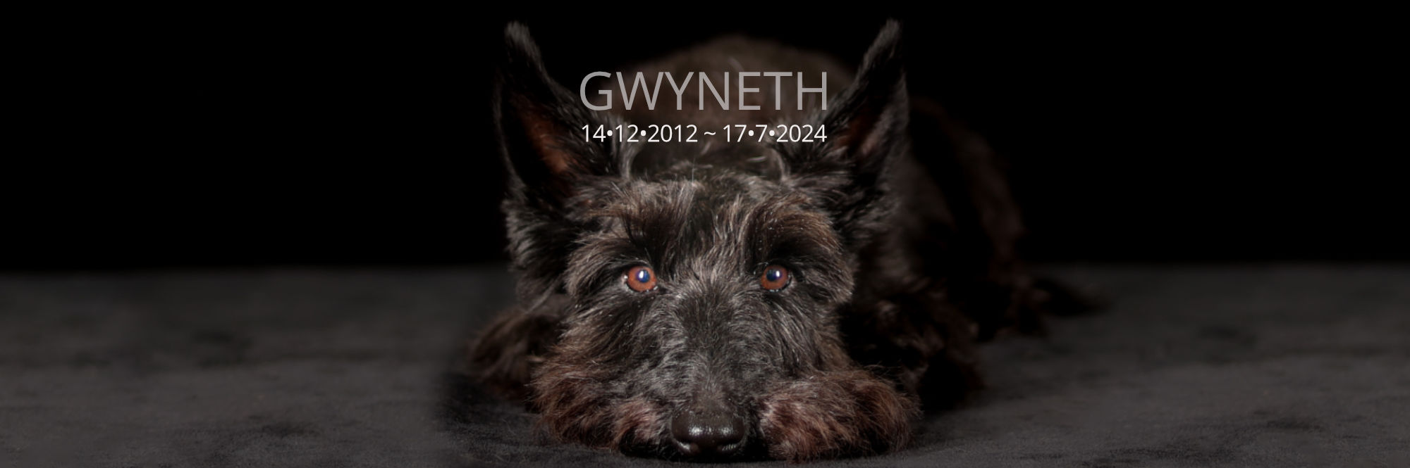gwyneth