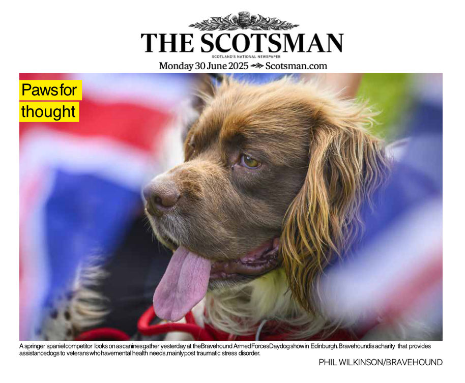 AFD bravehound 2025
