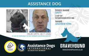dog and veteran