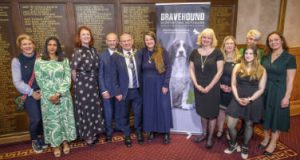 bravehound group