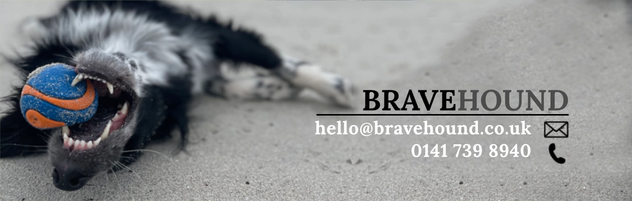 bravehound