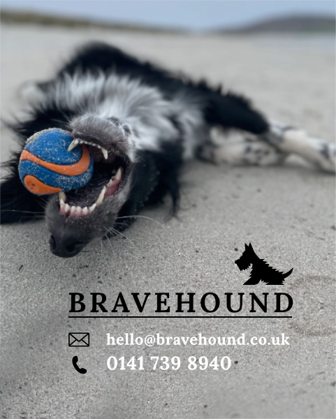bravehound