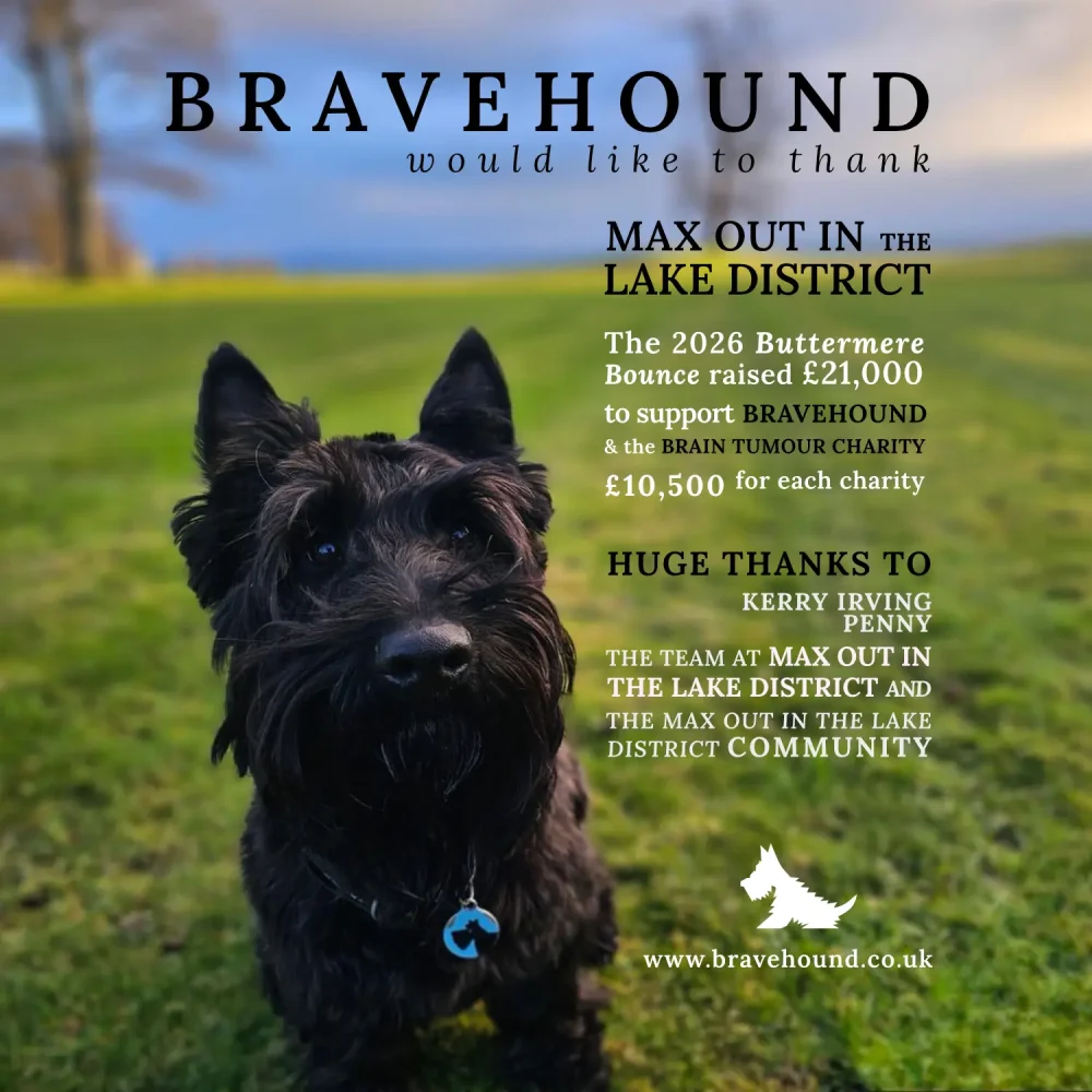 bravehound